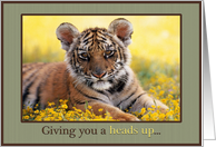 Heads Up Announcement Young Tiger Field of Yellow Flowers card