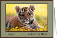 Happy Father’s Day To Both My Dads Young Tiger Field of Yellow Flowers card