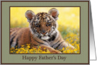 Happy Father’s Day Young Tiger Field of Yellow Flowers card