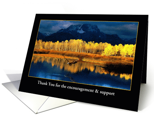 Thank You - Eagle Scout Project Support card (630379)