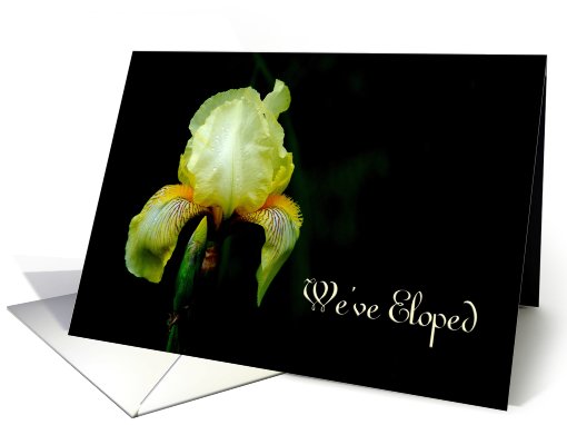 We've Eloped, Yellow Iris card (639585)