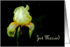 Just Married, Yellow Iris card