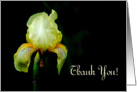 Thank You, Yellow Iris card