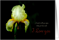 I Love You Romance Yellow Iris card