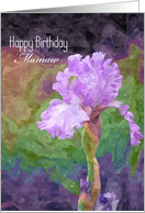 Birthday - Mamaw - Bearded Iris - Oil Painting card