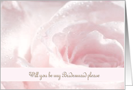 Bridesmaid Request, Pink and White Rose, Water Droplettes card