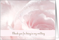 Thank You for being in my Wedding, Pink and White Rose, Water Droplettes card