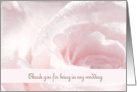 Thank You for being in my Wedding, Pink and White Rose, Water Droplettes card
