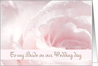 To my Bride - Wife - Wedding Day - Pastel Rose - Romantic card