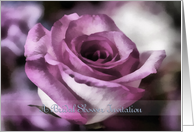 Bridal Shower Invitation, Pink Rose card