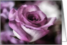 Note Card Blank Pink Rose card