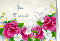 Just Married Announcement Roses Dove Daisy’s card