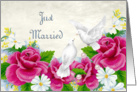 Just Married Announcement Roses Dove Daisy’s card