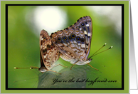 Best Boyfriend Ever - Two Butterflies mating card