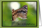Best Girlfriend Ever - Two Butterflies mating card