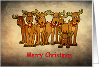Merry Christmas Group of cute Reindeer card