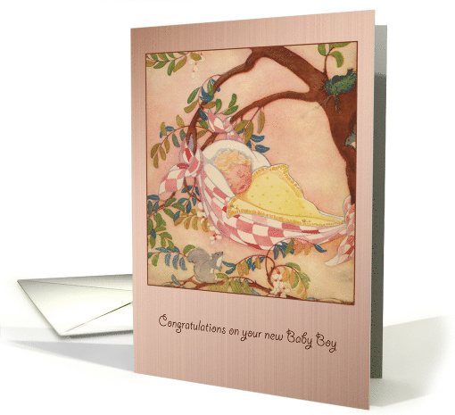 Congratulations New Baby Boy -  In Checkered Blanket in Tree card