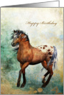 Wild Horse - Prancing- Happy Birthday card