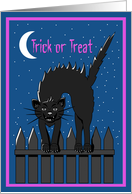 Halloween - Trick or Treat - Cat arched on a fence card