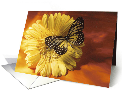 Note Card Blank - Elegant Butterfly on a Yellow Gerber Daisy card