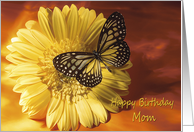 Happy Birthday Mom - Elegant Butterfly on a Yellow Gerber Daisy card