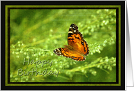 Happy Birthday Butterfly on Linen look card