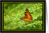 Congratulations - Butterfly on Linen look card