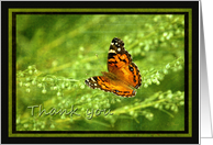 Thank You - Butterfly on Linen look card