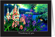 Thinking of you - Floral Pond card