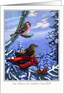 Note Card - Wild Birds in the Winter card
