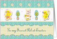 Easter - Secret Pal - Rabbits - Eggs - Chicks card