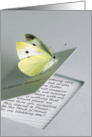 Maid of Honor - Sister -Yellow Butterfly Sulphur card