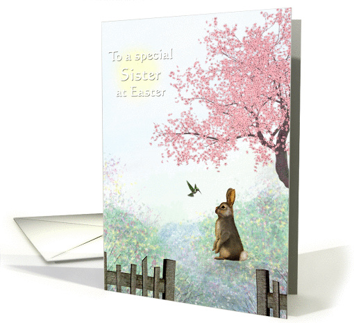 Easter - Sister - Rabbit + Hummingbird - Springtime card (770782)