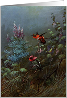 Note Card - Hummingbirds - Vintage Style Look card