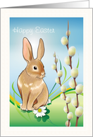 Easter - Goddaughter - Rabbt + Pussy Willow card