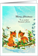 Christmas - Newspaper Carrier - Fox + Birds Chat card