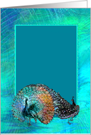 Blue Green Peacock Wedding Guest Invitation card