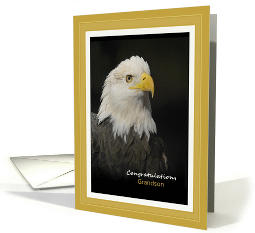 Congratulations Eagle Scout - Grandson - American Bald Eagle card