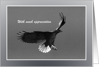 Thank You - Blank - Eagle Portrait in B+W card