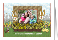 Grandparents - Easter Bunny Scene - Photo card