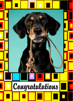 Congratulations - Geometric Pattern Photo Card