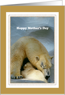 Mother's Day - Polar...