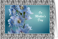Mother’s Day - Mom - Blue Flowers + Animal Print Custom Text card