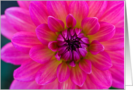 Mother’s Day - Bright Pink Flower - Photography card