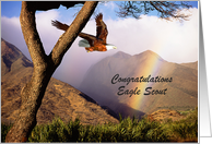 Congratulations - Eagle Scout Status card