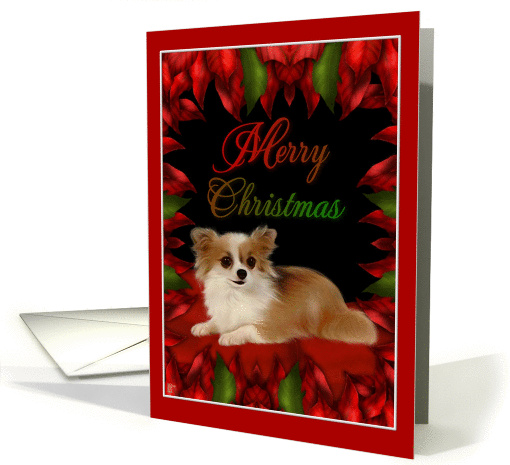 Merry Christmas - Chihuahua card (291061)