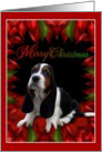 Merry Christmas - Basset Hound card