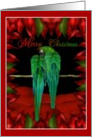 Merry Christmas - Great Green Macaw Parrot card