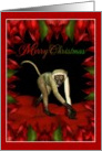 Merry Christmas - Monkey card