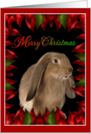 Merry Christmas - Rabbit card